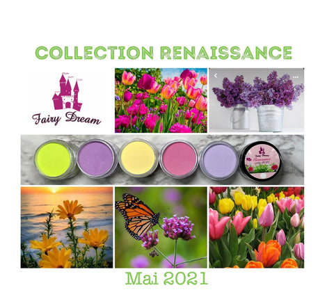 Collection renaissance collection poudre de couleur