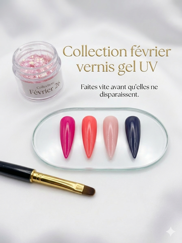 Collection février vernis gel uv